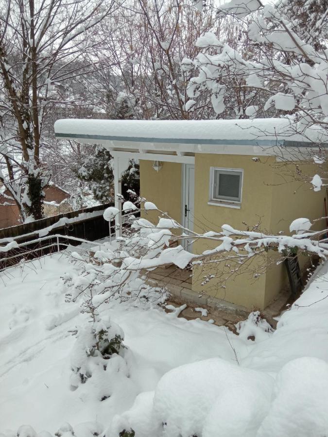 Chalet cu 1 dormitor